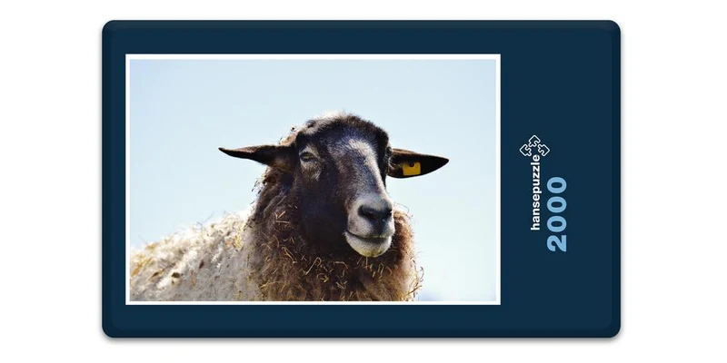 18505 Tierwelt - Schaf Puzzle