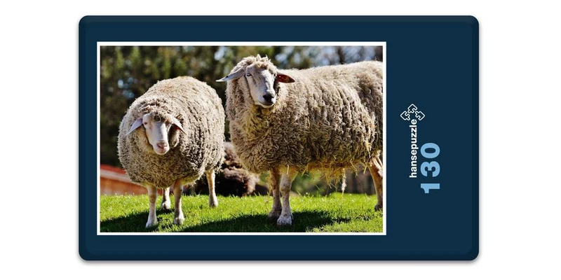 18504 Tierwelt - Schafe auf Weide Puzzle