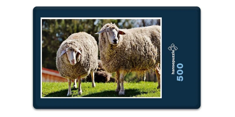 18504 Tierwelt - Schafe auf Weide Puzzle