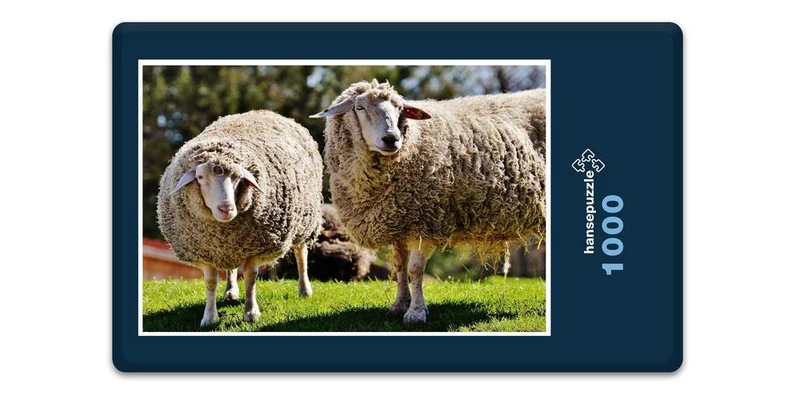 18504 Tierwelt - Schafe auf Weide Puzzle