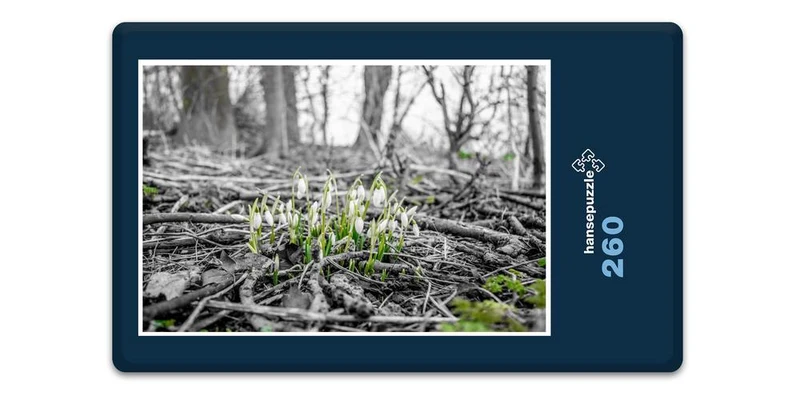 18502 Natur - Frühlings-Bote Puzzle