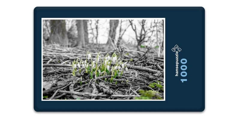 18502 Natur - Frühlings-Bote Puzzle