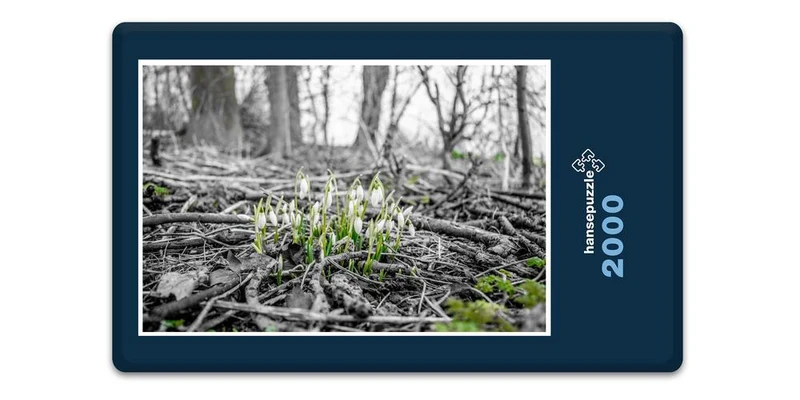 18502 Natur - Frühlings-Bote Puzzle