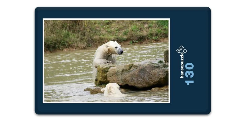 18501 Tierwelt - Eisbär auf Fels Puzzle