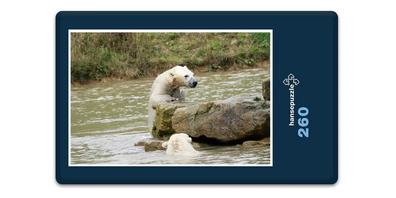 18501 Tierwelt - Eisbär auf Fels Puzzle