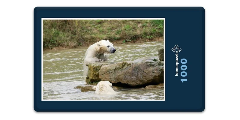 18501 Tierwelt - Eisbär auf Fels Puzzle