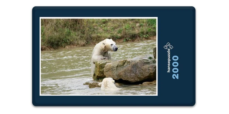 18501 Tierwelt - Eisbär auf Fels Puzzle