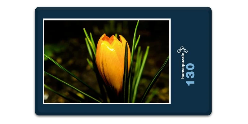 18500 Natur - Krokus Puzzle