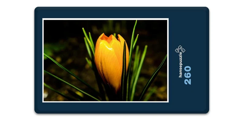 18500 Natur - Krokus Puzzle