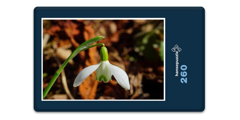 18499 Natur - Schneeglöckchen Puzzle
