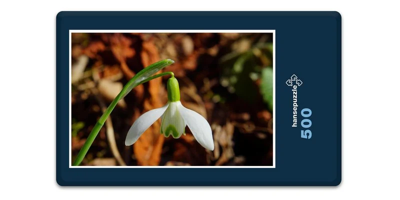 18499 Natur - Schneeglöckchen Puzzle