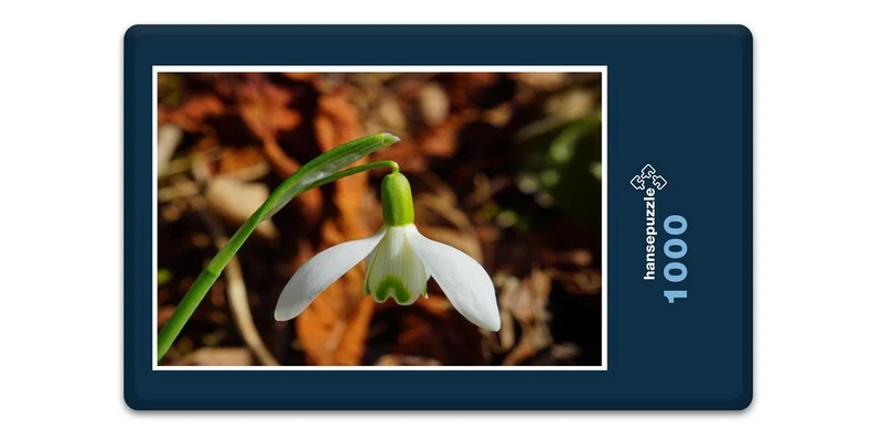 18499 Natur - Schneeglöckchen Puzzle