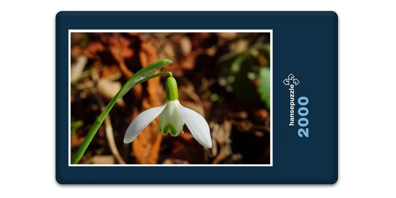 18499 Natur - Schneeglöckchen Puzzle