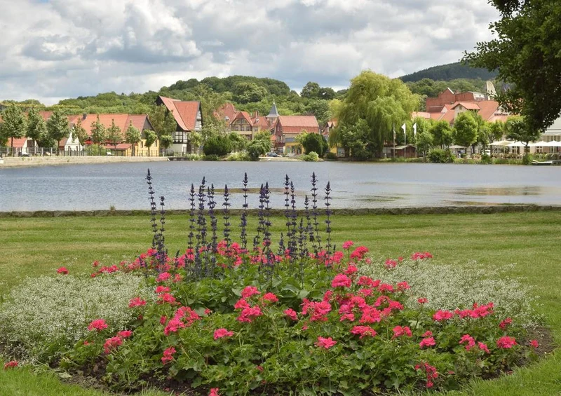 19241 Natur - Park-Anlage Puzzle