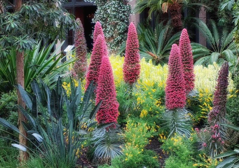 18603 Natur - Blüten-Garten Puzzle