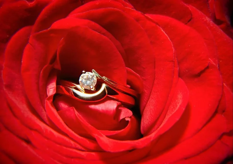 18601 Menschen - Rose mit Ring Puzzle