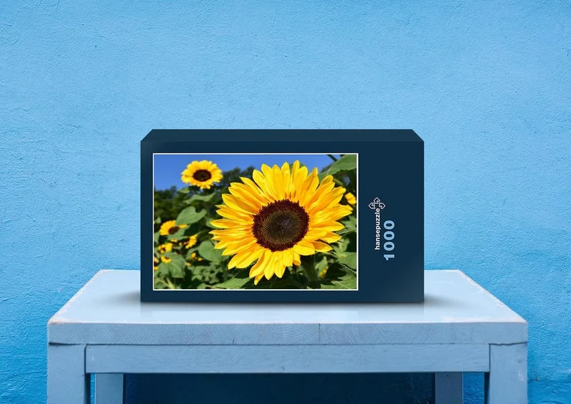 21490 Natur - Sonnenblumen-Feld Puzzle