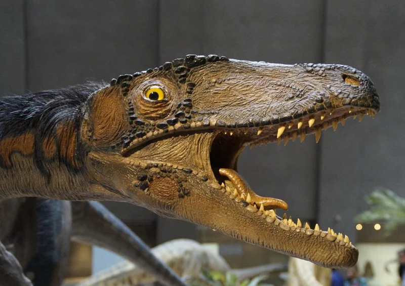 18552 Orte - Dinosaurier Puzzle