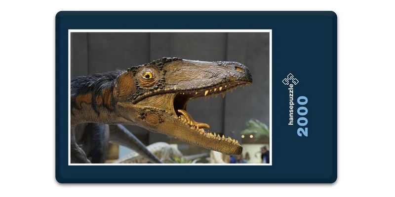 18552 Orte - Dinosaurier Puzzle