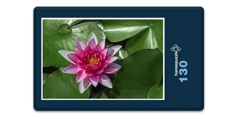 18588 Natur - See-Rose Puzzle