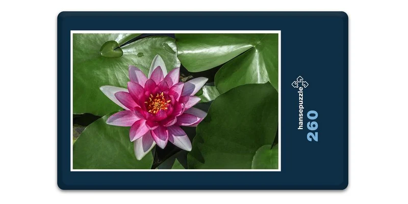 18588 Natur - See-Rose Puzzle