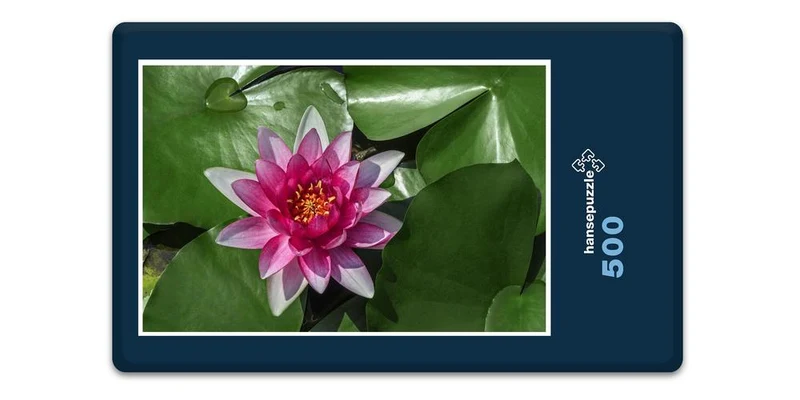 18588 Natur - See-Rose Puzzle