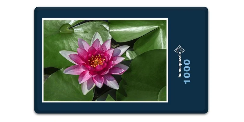 18588 Natur - See-Rose Puzzle