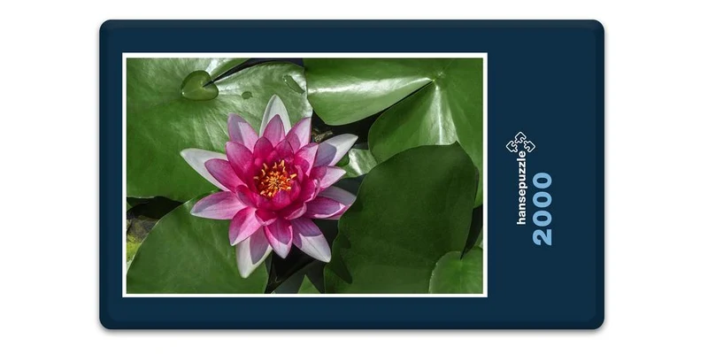 18588 Natur - See-Rose Puzzle