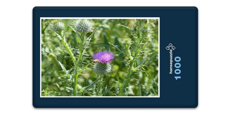 18586 Natur - Distel Puzzle