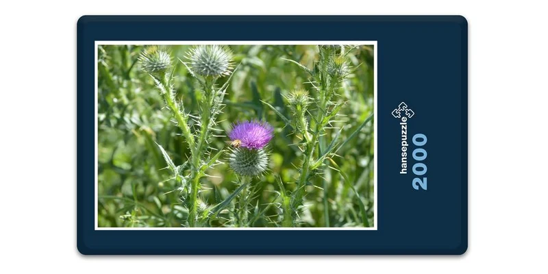 18586 Natur - Distel Puzzle