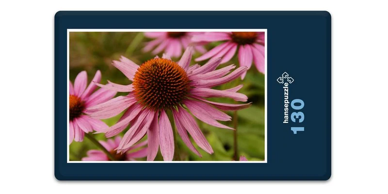 18585 Natur - Echinacea Puzzle