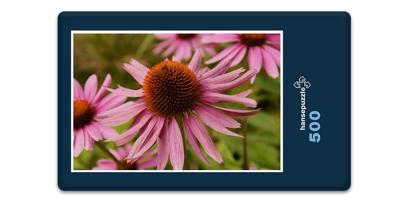 18585 Natur - Echinacea Puzzle