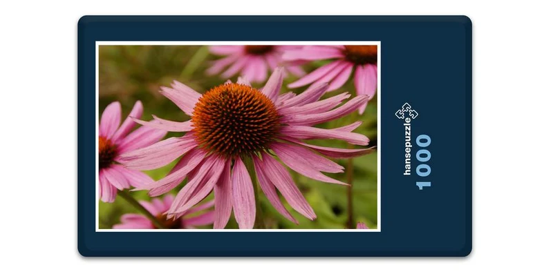 18585 Natur - Echinacea Puzzle