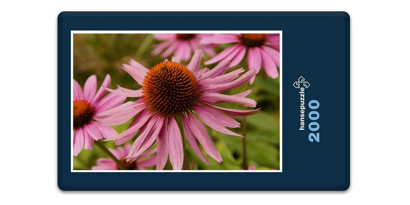 18585 Natur - Echinacea Puzzle