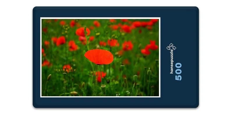 18584 Natur - Mohn-Feld Puzzle