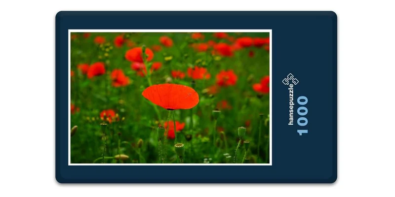 18584 Natur - Mohn-Feld Puzzle
