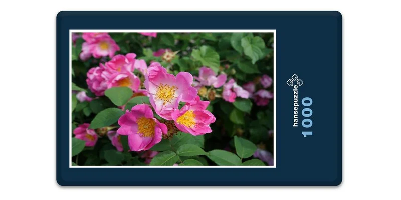 18583 Natur - Hecken-Rose Puzzle