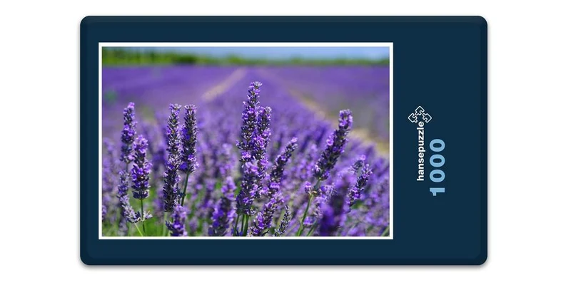 18582 Natur - Lavendel Puzzle