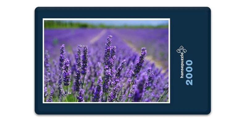 18582 Natur - Lavendel Puzzle