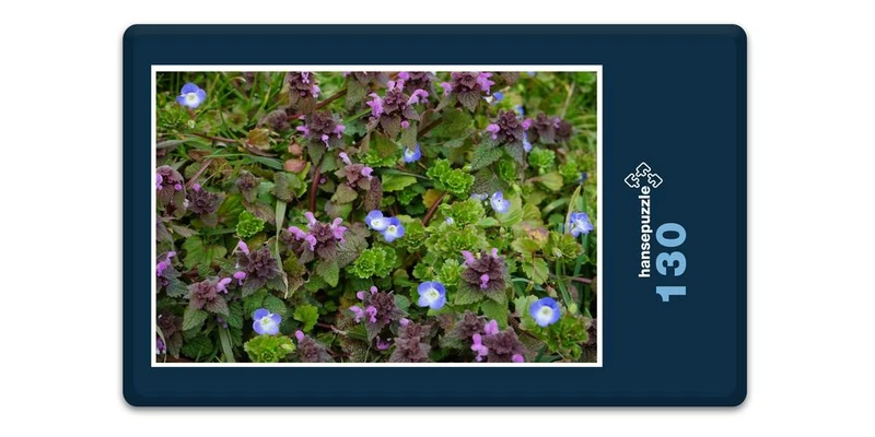 18581 Natur - Veilchen Puzzle