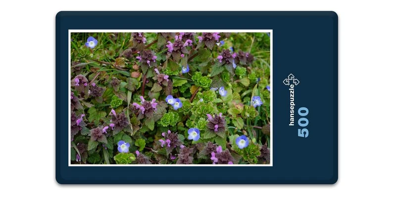 18581 Natur - Veilchen Puzzle