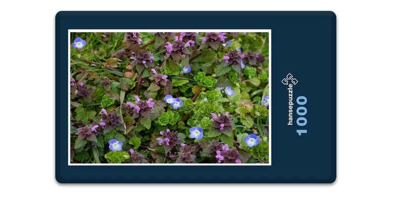 18581 Natur - Veilchen Puzzle