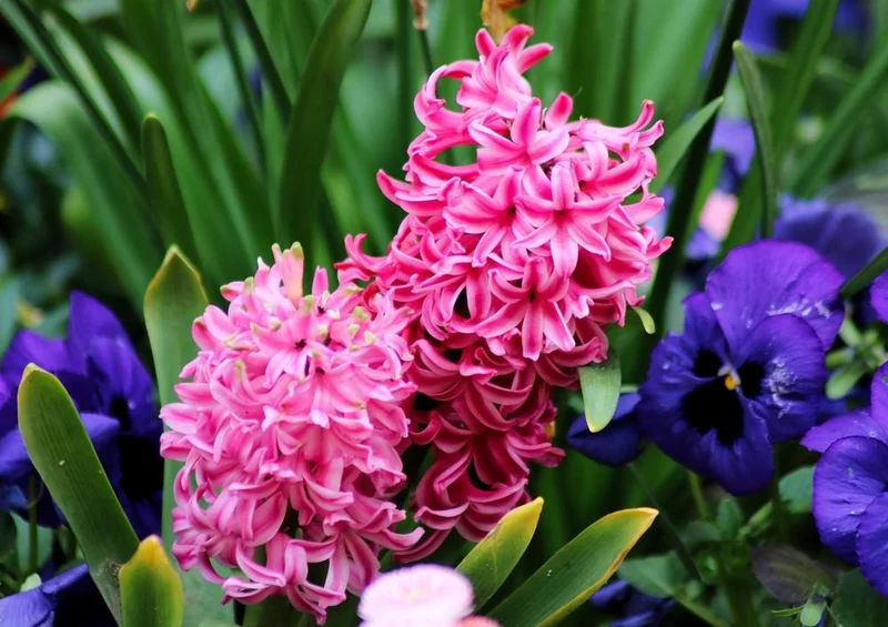 19231 Natur - Bunte Blumen Puzzle