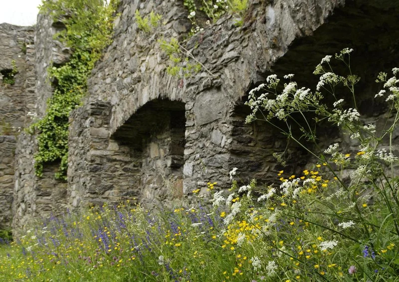 19226 Gebäude - Burg-Ruine Puzzle