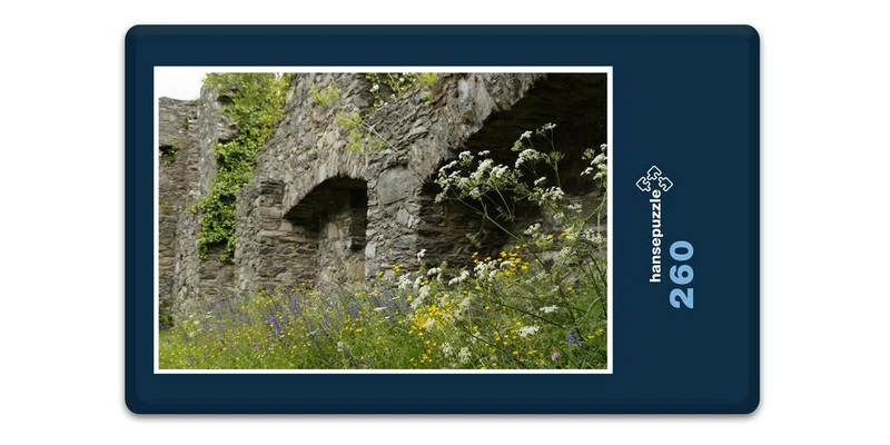 19226 Gebäude - Burg-Ruine Puzzle