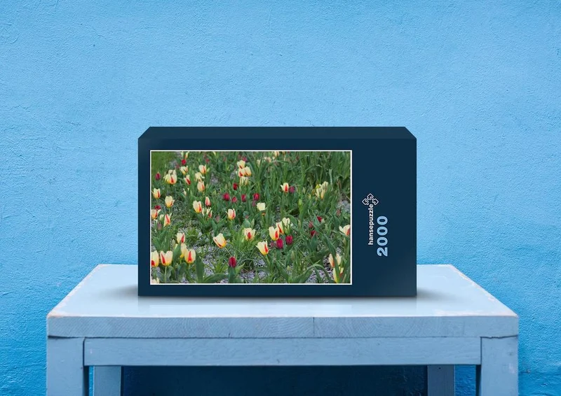 25160 Natur - Tulpe Puzzle