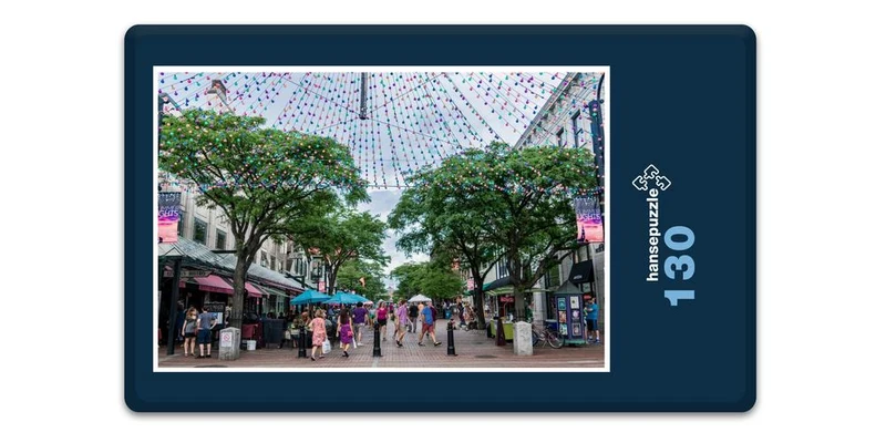 18546 Orte - Burlington Puzzle
