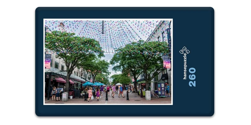 18546 Orte - Burlington Puzzle