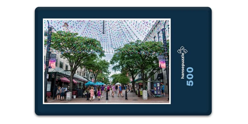 18546 Orte - Burlington Puzzle