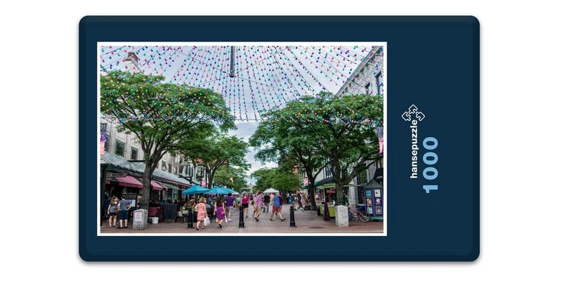 18546 Orte - Burlington Puzzle